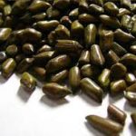Cassia Tora Seeds