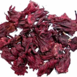 Hibiscus Flower