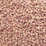 Tiger Nut Seeds