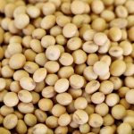 Soya Beans