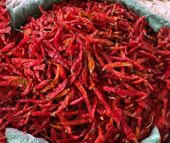 Red Chili Pepper