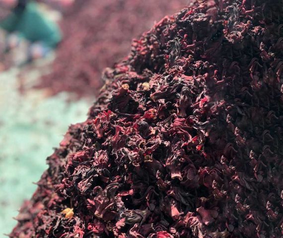 Dried Hibiscus Flower