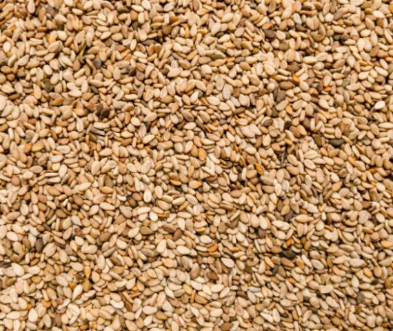 Natural Sesame Seeds